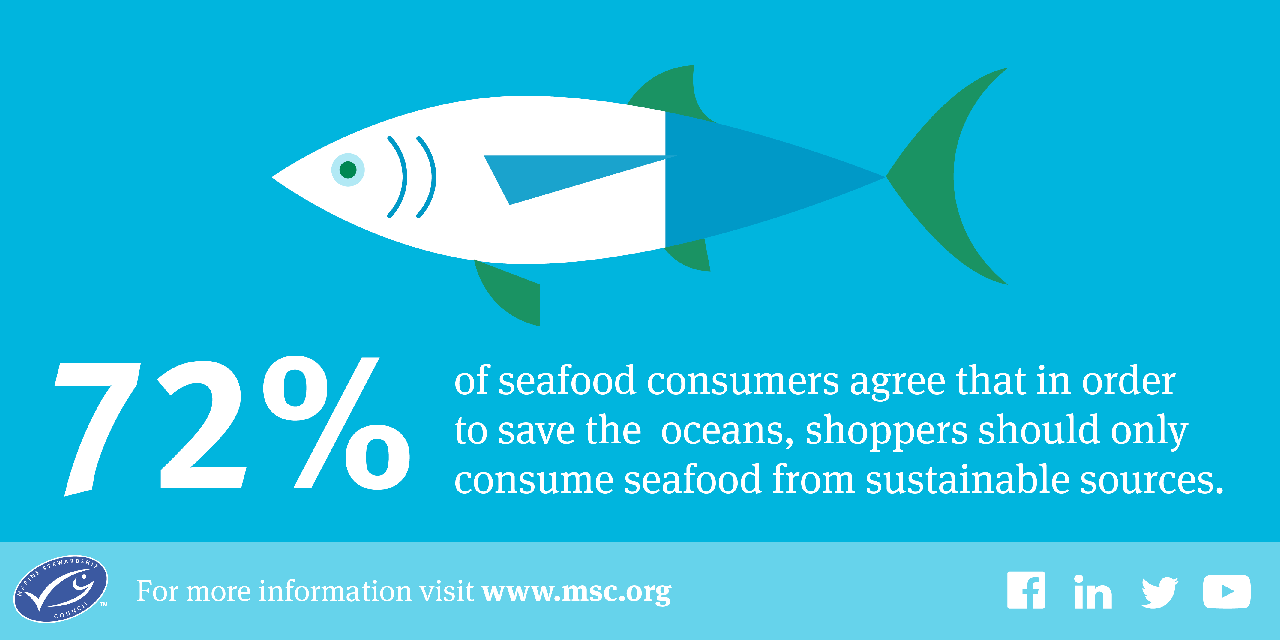 Marine Stewardship Council Infographic - Data Design