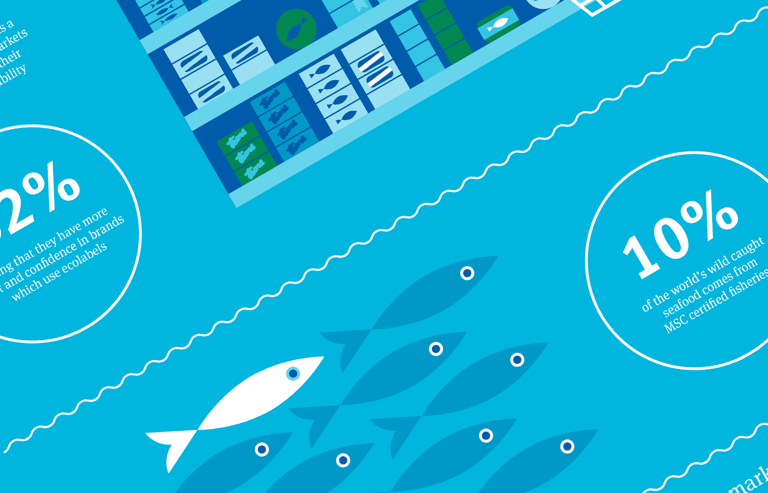 Marine Stewardship Council (MSC) Infographic - Data Design